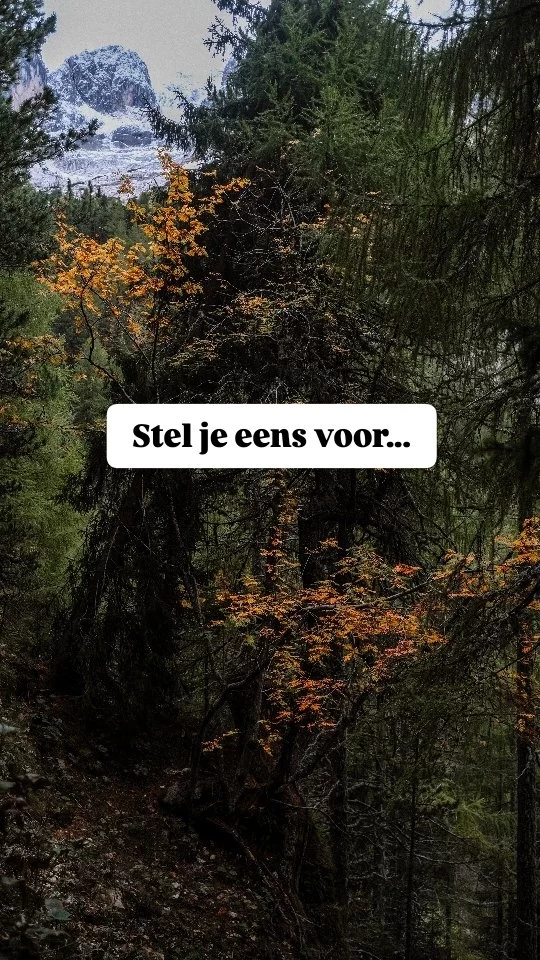 ...dat de bladeren aan de bomen verkleurd zijn naar prachtige oranjerode tinten. Jullie hebben lekker een warme trui aan en de zon schijnt door de bomen. Jullie maken een wandeling, zoeken naar kastanjes en gooien de al gevallen bladeren door de lucht. Jullie lachen en hebben het leuk met elkaar.

Lijkt dit je ook wat? Kom op zaterdag 25 oktober naar de herfst minishoots om dit moment voor jullie vast te leggen!

Er zijn 6 plekken tussen 9.00 en 12.00 uur. 
Voor €147 krijg je:
- 20 minuten shoot in omgeving Gouda
- 7 foto's (je kiest zelf je favorieten)
- optie om meer beelden bij te bestellen

Stuur me een dm met 'MINI' om direct je plek te reserveren of antwoord te krijgen op je vraag!